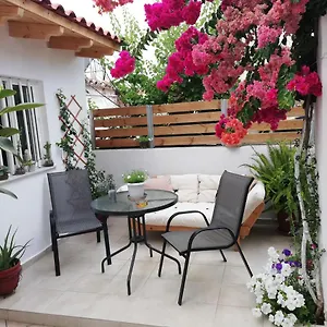  Apartment Small With Yard